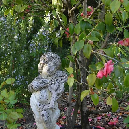 La Cabanne Panzió 3*